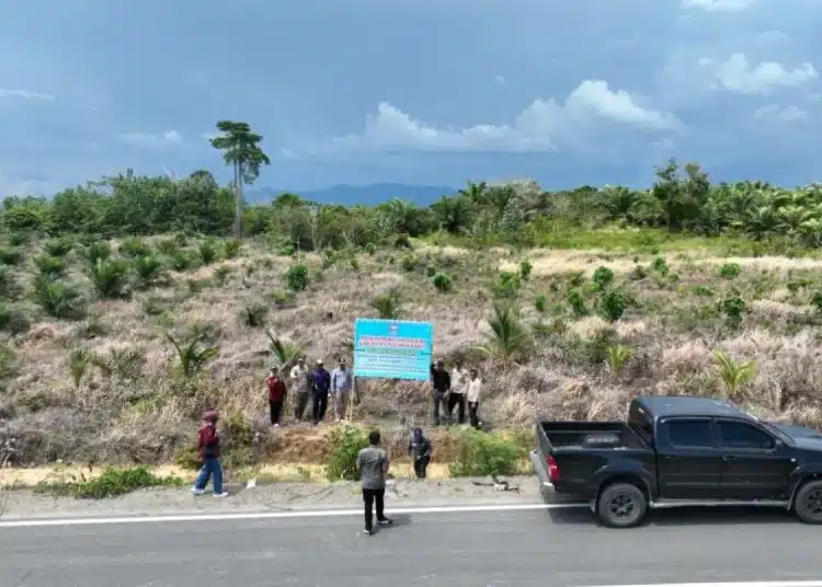 Pemkab Pasaman Barat Pasang Patok di Rest Area Pelabuhan Teluk Tapang: Strategi atau Simbolik?