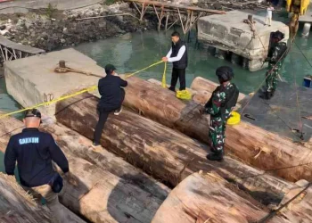 PT BRN Bantah Lakukan Pembalakan Hutan di Mentawai