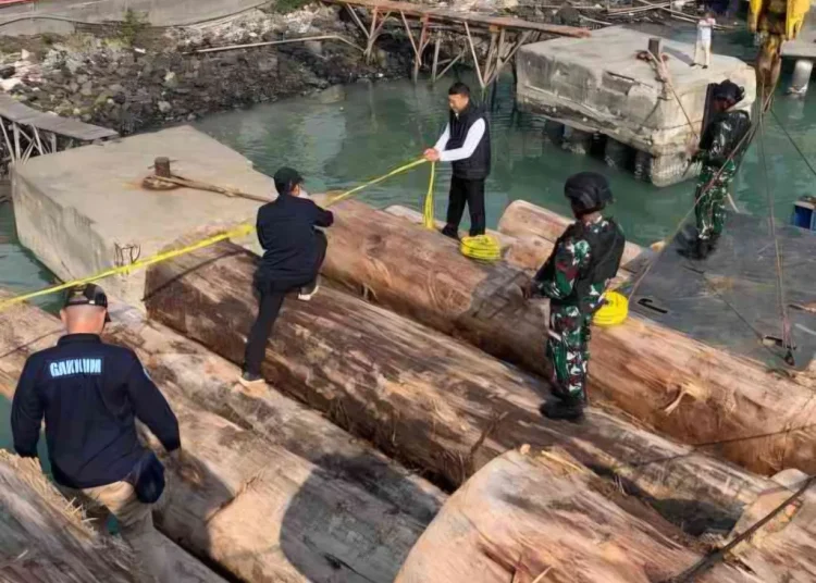 PT BRN Bantah Lakukan Pembalakan Hutan di Mentawai