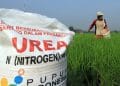 Penurunan Harga Pupuk Subsidi 20 Persen: Peluang dan Tantangan bagi Petani Sumbar
