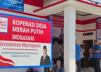 Sejauh Mana Peran Koperasi Merah Putih untuk Kesejahteraan Masyarakat