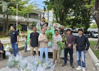 Panen Petani Muda Ludes Dalam Jam, Pemprov Buka Pemasaran Baru
