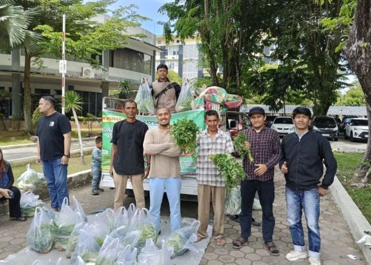 Panen Petani Muda Ludes Dalam Jam, Pemprov Buka Pemasaran Baru