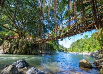 Wilayah Terluas di Sumatera Barat dan Risiko ‘Jembatan Akar’ 100 Tahun di Pesisir Selatan