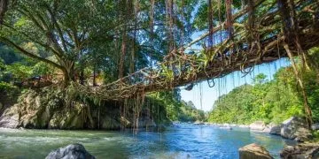 Wilayah Terluas di Sumatera Barat dan Risiko ‘Jembatan Akar’ 100 Tahun di Pesisir Selatan