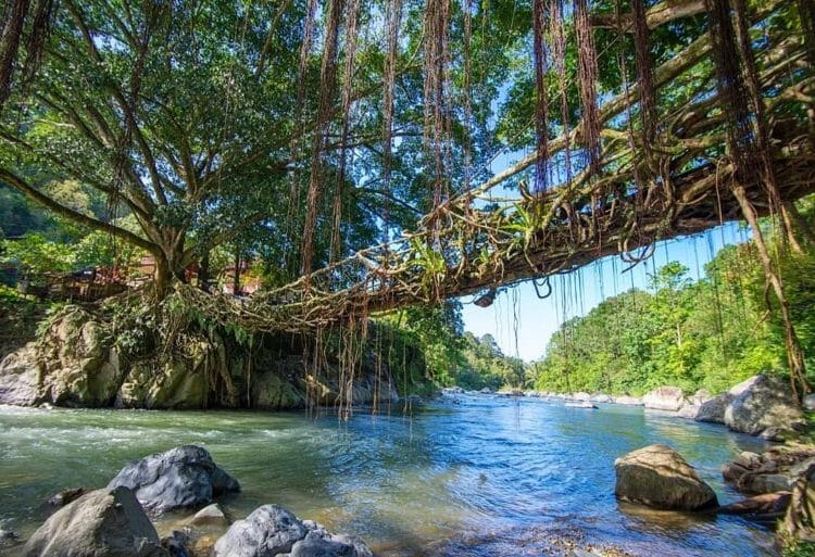 Wilayah Terluas di Sumatera Barat dan Risiko ‘Jembatan Akar’ 100 Tahun di Pesisir Selatan