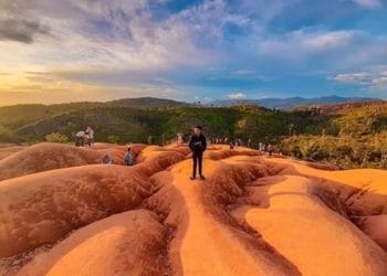 Bukik Ameh: Pesona “Gurun Emas” Pesisir Selatan dan Tantangan Pariwisata Berkelanjutan