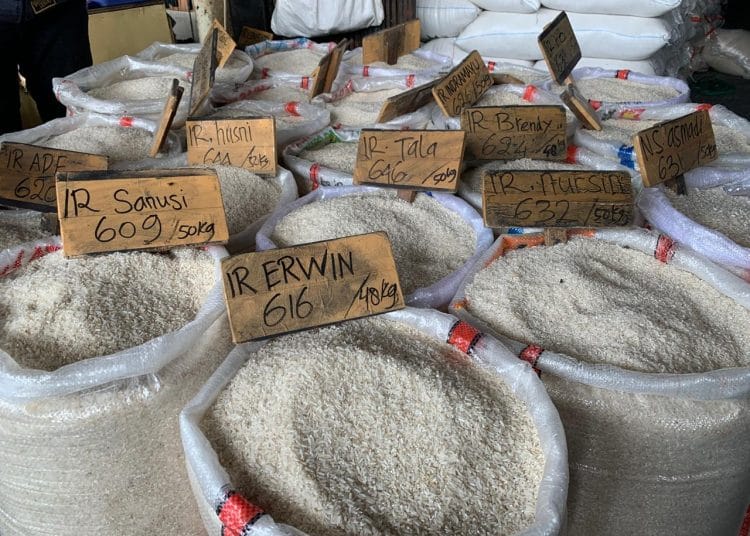 Produksi Beras RI “Rekor” Masih Berbasis Proyeksi