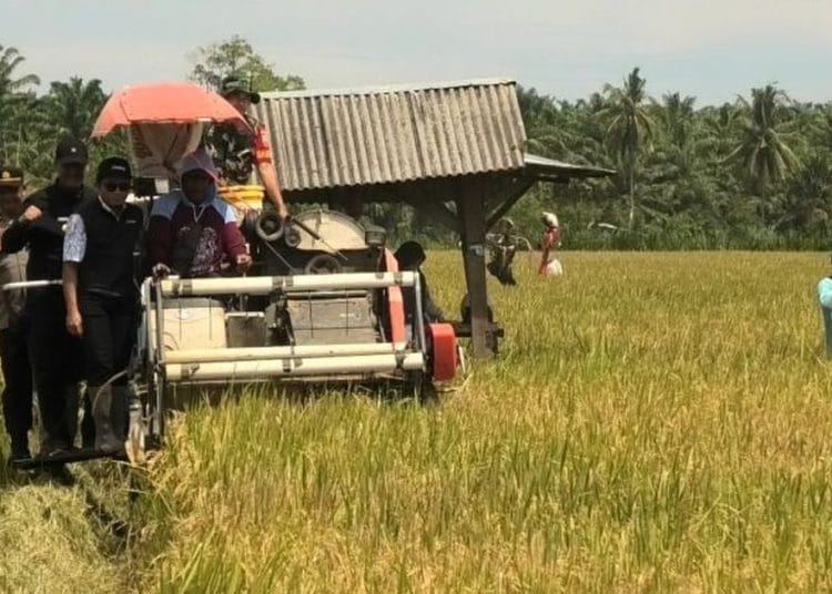 Pasaman Barat Terima 65 Ton Benih Padi dari Kementan