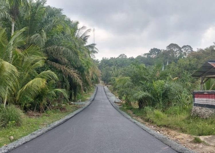 Realisasi Inpres Jalan Daerah Dimulai di Lima Puluh Kota