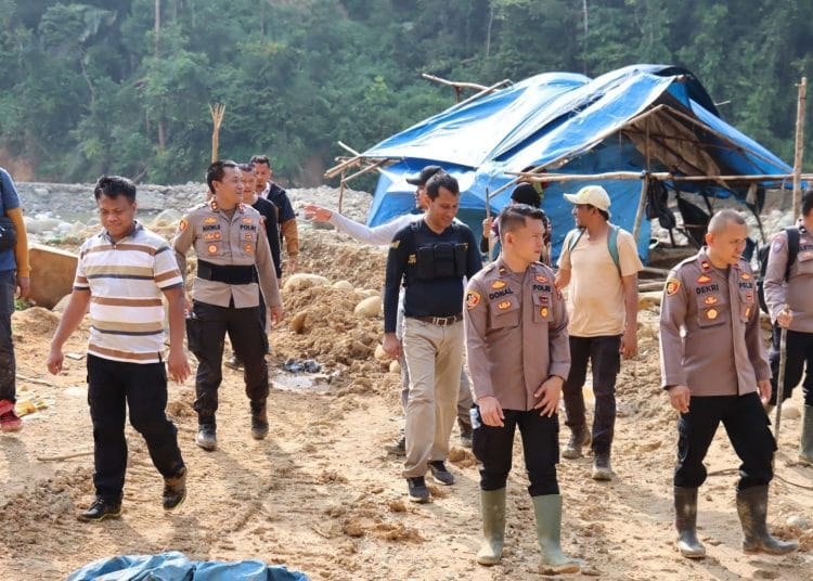 PETI di Pasaman Barat: Dikejar Aparat, Berulang Kembali