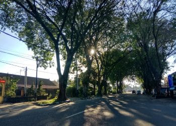 Perbaikan 10 Tahun Baru Dimulai di Jalan Mangunsarkoro Padang