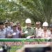 Mahyeldi Apresiasi Replanting Sawit yang Dongkrak Produktivitas