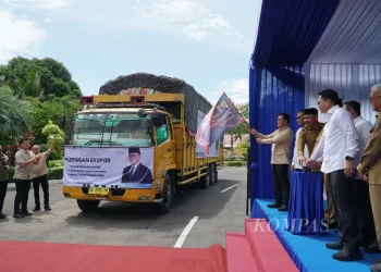 Sumbar Ekspor Satu Kontainer Gambir ke India