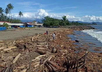 Penebangan Sistematis di Hulu DAS Aia Dingin Tebang Benteng Alam Padang