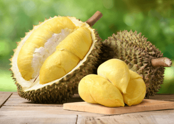 Sulit Air Dorong Target Pusat Agro Solok 2030