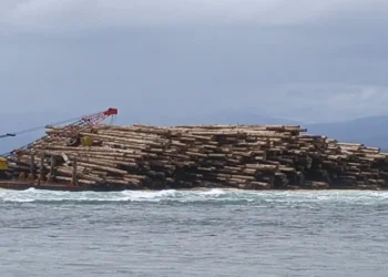 Kapal Pengangkut Kayu Asal Sumbar Terdampar di Lampung, 4.800 m³ Gelondongan Terancam