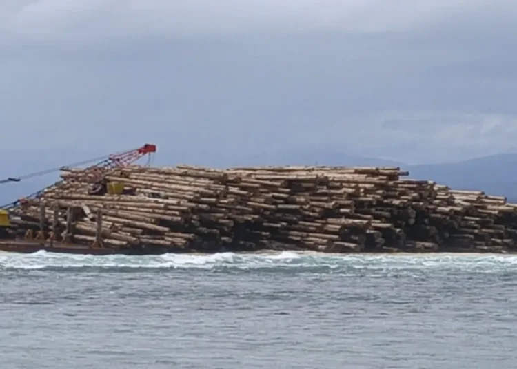 Kapal Pengangkut Kayu Asal Sumbar Terdampar di Lampung, 4.800 m³ Gelondongan Terancam