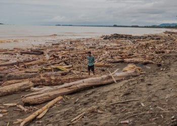 Nelayan Padang Sulit Melaut Akibat Kayu Gelondongan Penuhi Laut