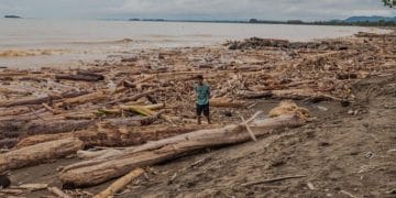 Nelayan Padang Sulit Melaut Akibat Kayu Gelondongan Penuhi Laut
