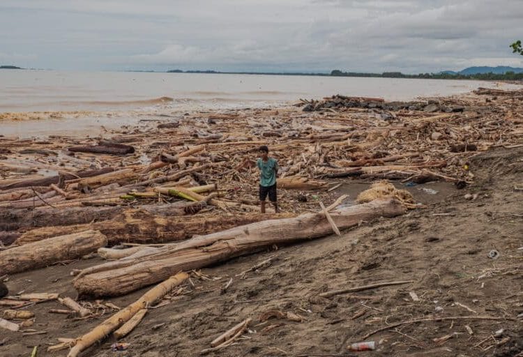 Nelayan Padang Sulit Melaut Akibat Kayu Gelondongan Penuhi Laut