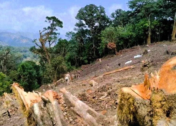 Pasaman Barat dibabat Diam-diam