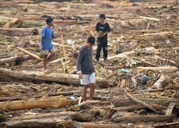 Sampah Kayu Banjir Padang Dimanfaatkan untuk Energi PLTU
