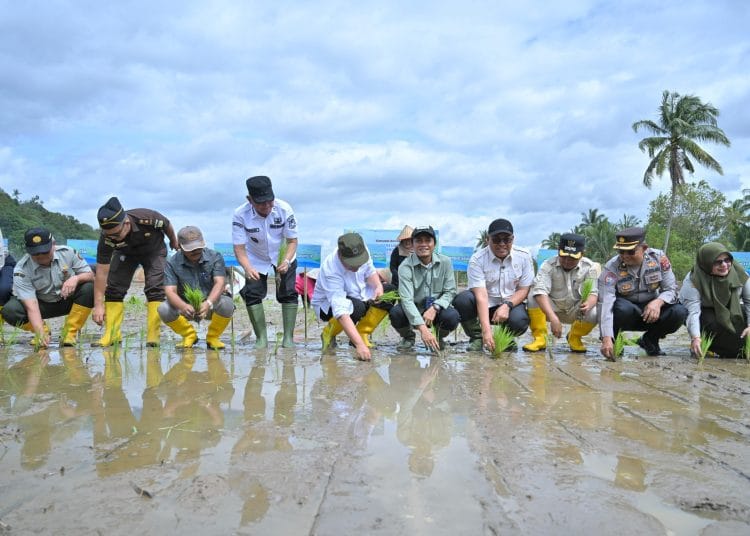 Kementan Rehabilitasi 6.451 Ha Sawah Terdampak Bencana di Sumbar