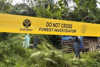 Tambang Liar Sumbar Ditarget Tutup Total dalam Dua Hari