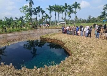 Sinkhole di Sumbar: Alarm Keras Gagalnya Pengelolaan Tanah dan Air
