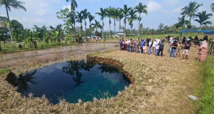 Sinkhole di Sumbar: Alarm Keras Gagalnya Pengelolaan Tanah dan Air